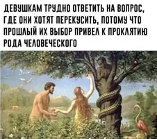 1733364243451.webp