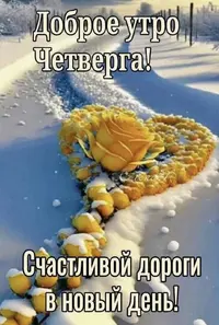 IMG_8564.webp