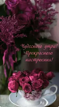 IMG_8575.webp
