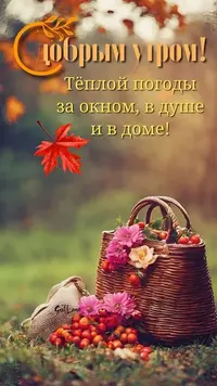 0919_474.webp