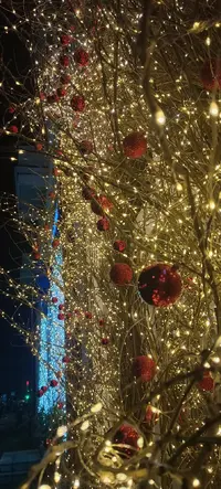 IMG_20241205_203606.webp