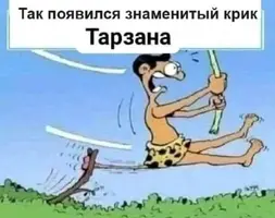 Screenshot_2024-12-07-06-39-19-65_68e74cc0265513bba3f4cf8e2c9891fe.webp