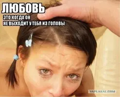 5379767235314313461.webp