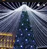 IMG_20241208_194846.webp