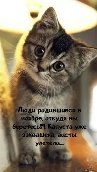 07_109.webp