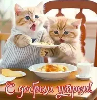70f70486-0157-4044-ac3a-9b450e2cf6df.webp