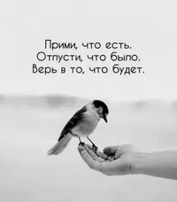 imgonline-com-ua-Resize-am4WNPgEtWo.webp
