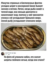 0430_017.webp