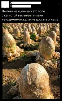 lAPSW6mqduo.webp