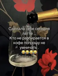 1734126646457.webp