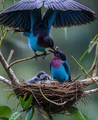 InShot_20241215_123124246.webp