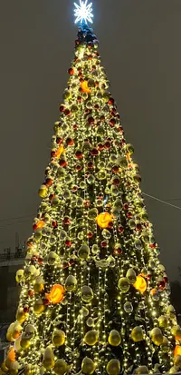 IMG_8790.webp