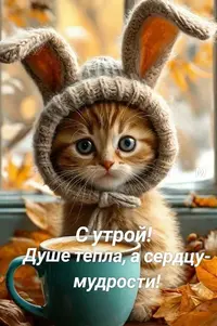 00453_732.webp