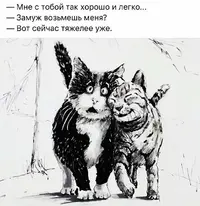 030_388.webp