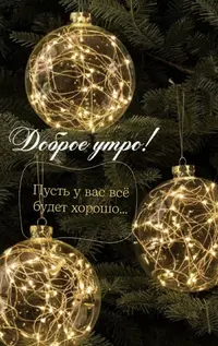 IMG_8852.webp