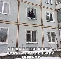 04431_069.webp