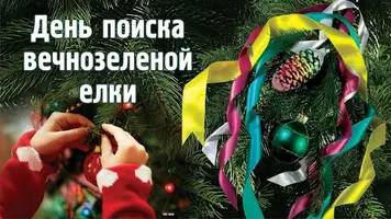1200-665577.webp