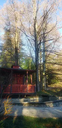 20241219_151841.webp