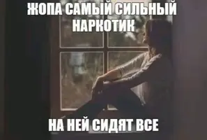 3b5223472fc34a371e6b898cc8aec4c3.webp