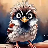 images.webp