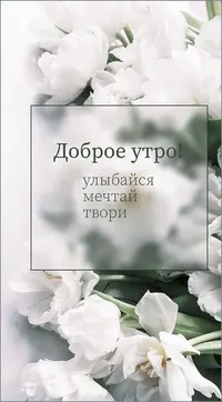 01_299.webp