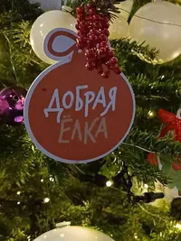 20241222171805.webp