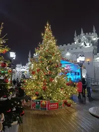 20241222171929.webp