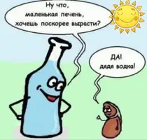 IMG_20241223_200254.webp