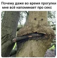1200-9154451207.webp
