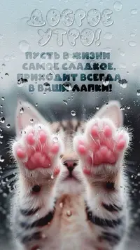 IMG_5279.webp