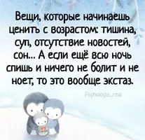 InShot_20241224_003807223.webp