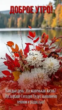 03626_100.webp