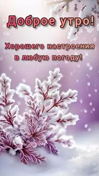 04449_364.webp