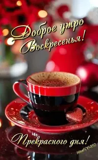 1000101732.webp