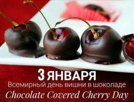 1200-2255.webp