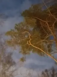 20250103171934.webp