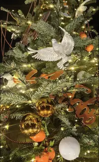 1735935086251.webp