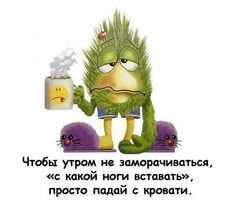 VK_Saved_Photo_ 636173339120087024.webp