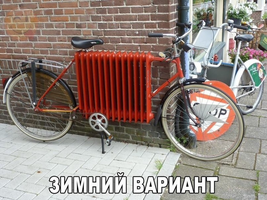 VK_Saved_Photo_ 636173338869400190.webp