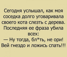 VK_Saved_Photo_ 636173338802397806.webp