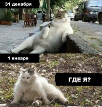 VK_Saved_Photo_ 636176126480393500.webp