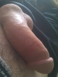 1460703718-00059610.webp