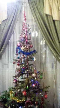 IMG_20161225_224411.webp