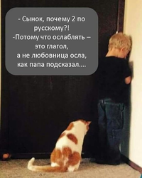 VK_Saved_Photo_ 635988673831986044.webp