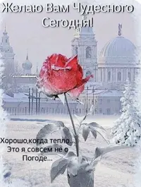 IMG_9373.webp