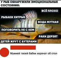 03_8479267.webp