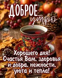img_dCh9p5b.jpg.webp