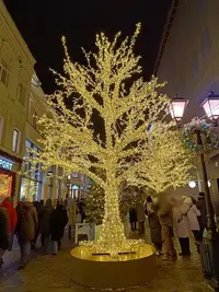 20250106210945.webp