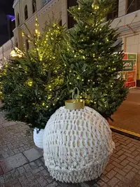 20250112175516.webp