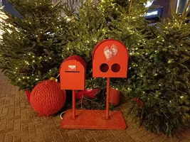 20250112181908.webp